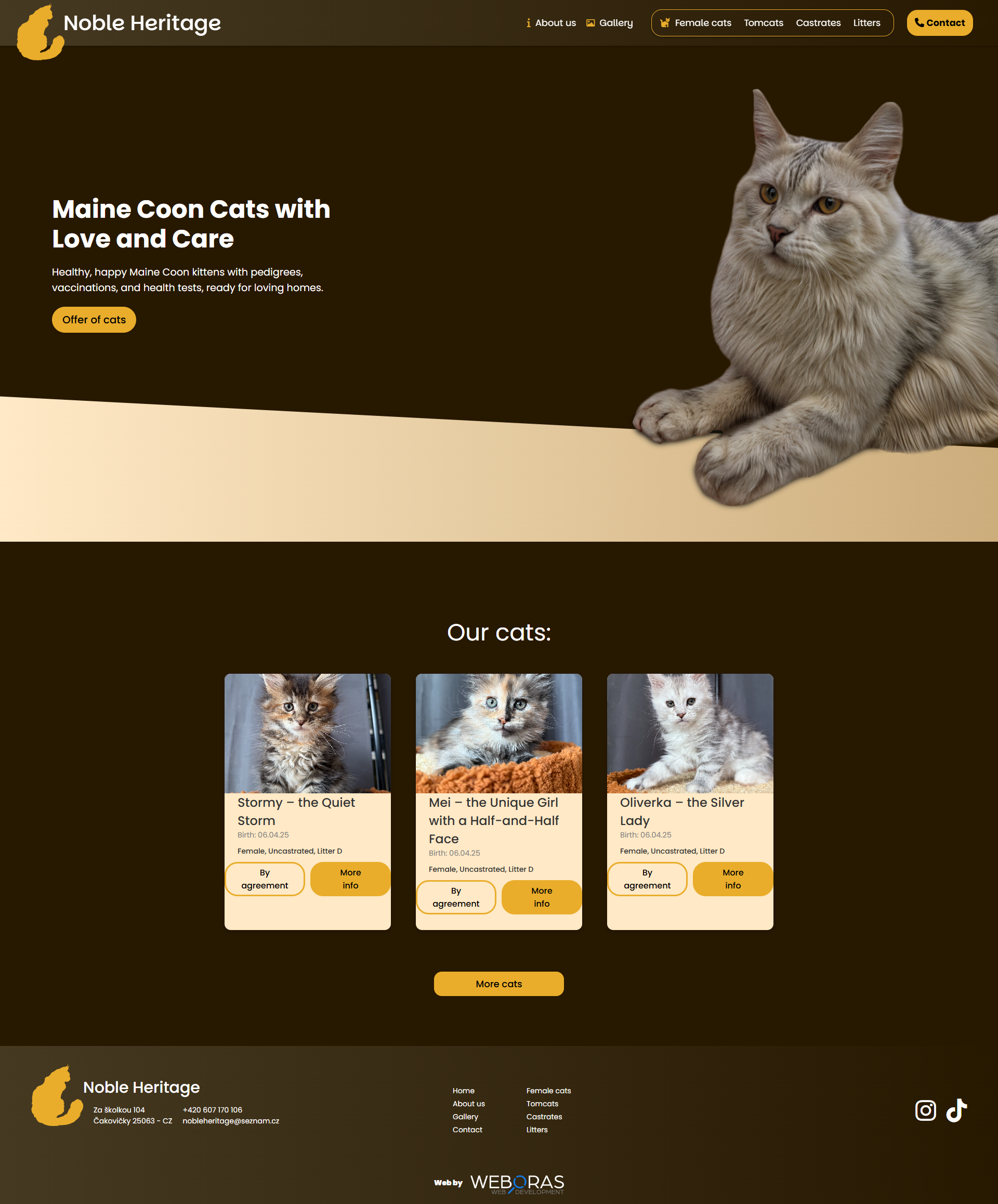 Náhled webu Noble Heritage Cats